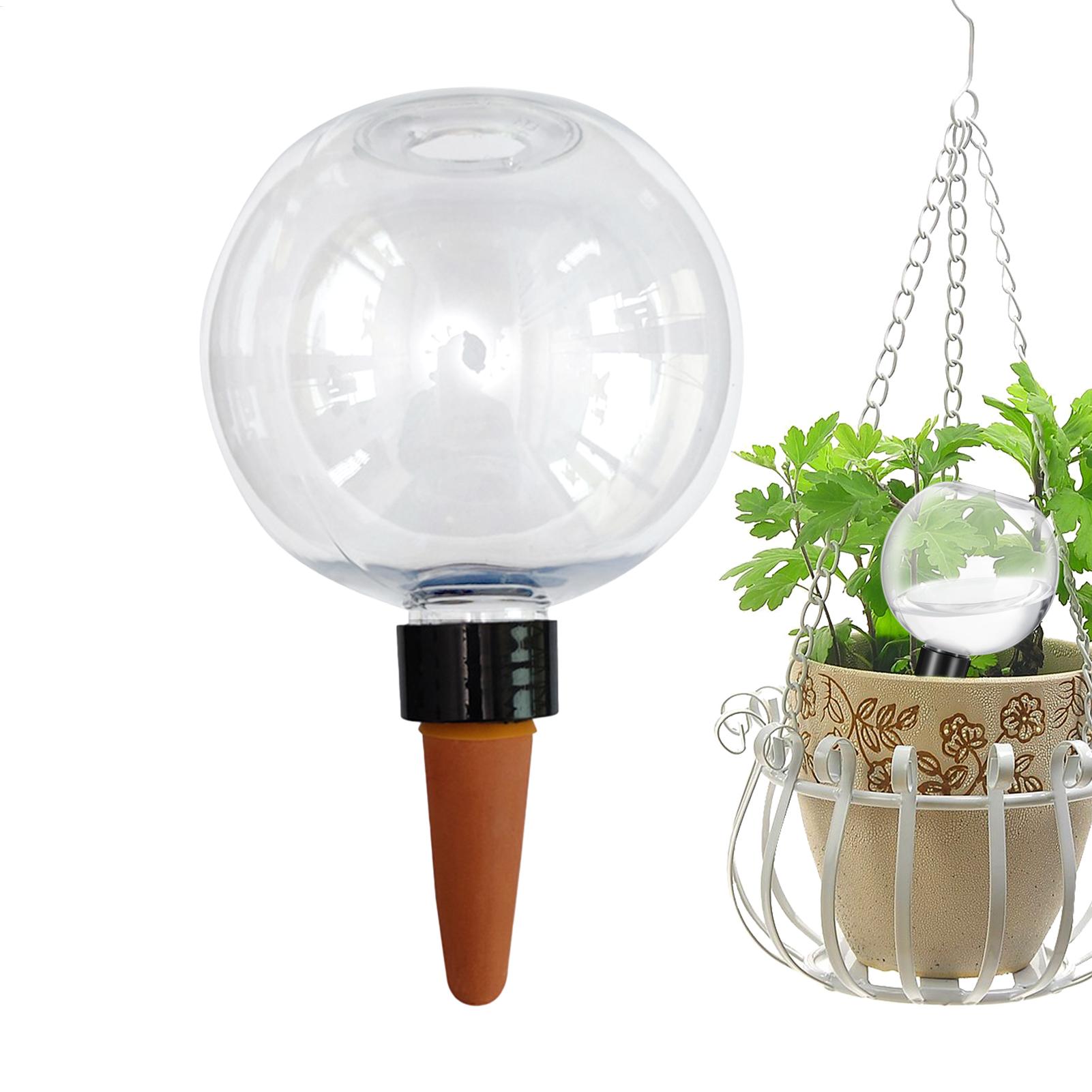 Bola Penyiram Tanaman Otomatis - Self Watering Insert ulasan dan harga