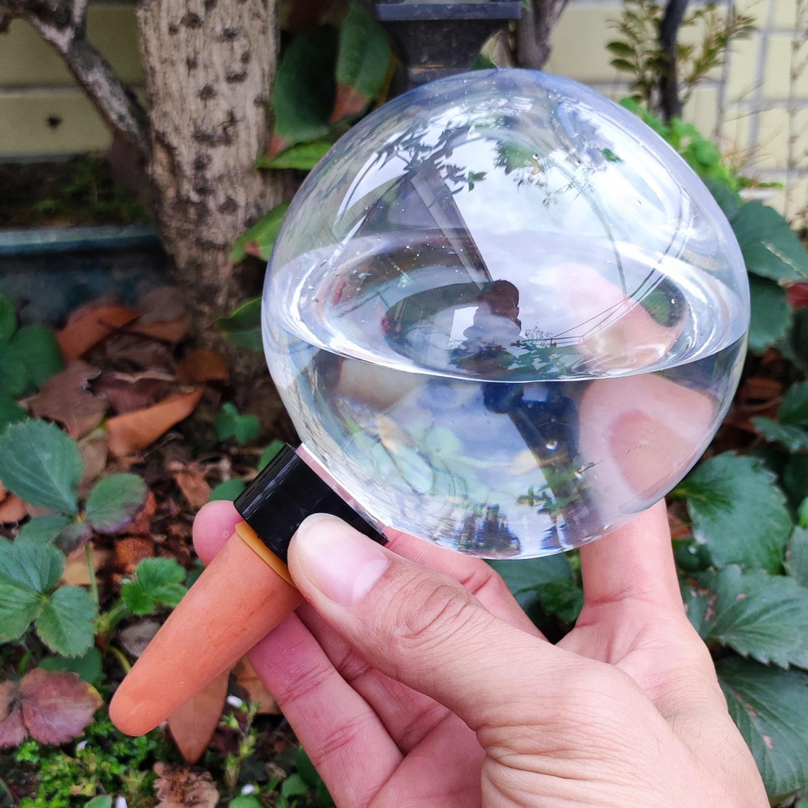 Bola Penyiram Tanaman Otomatis - Self Watering Insert ulasan dan harga